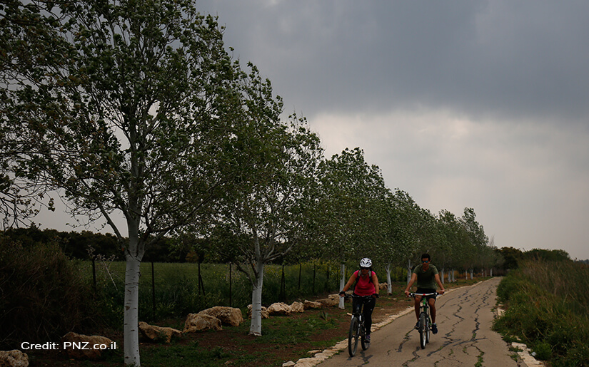 הצעות לטיולים בהנחה לנכי צהל