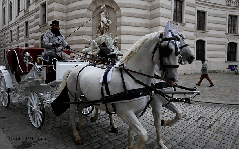סיור בעיר העתיקה של וינה