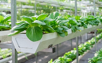 לבית ולגינה